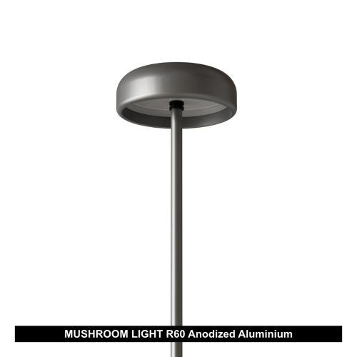 MUSHROOM LIGHT R60
